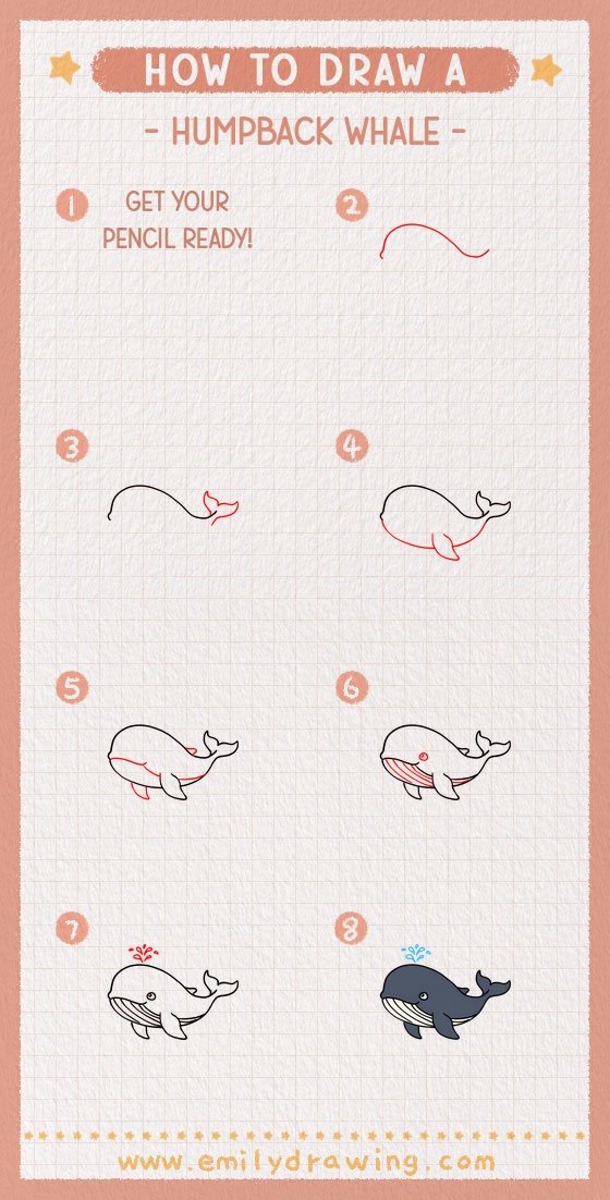 how to draw a humpback whale pinterest pin
